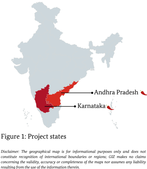 Project Implementing States